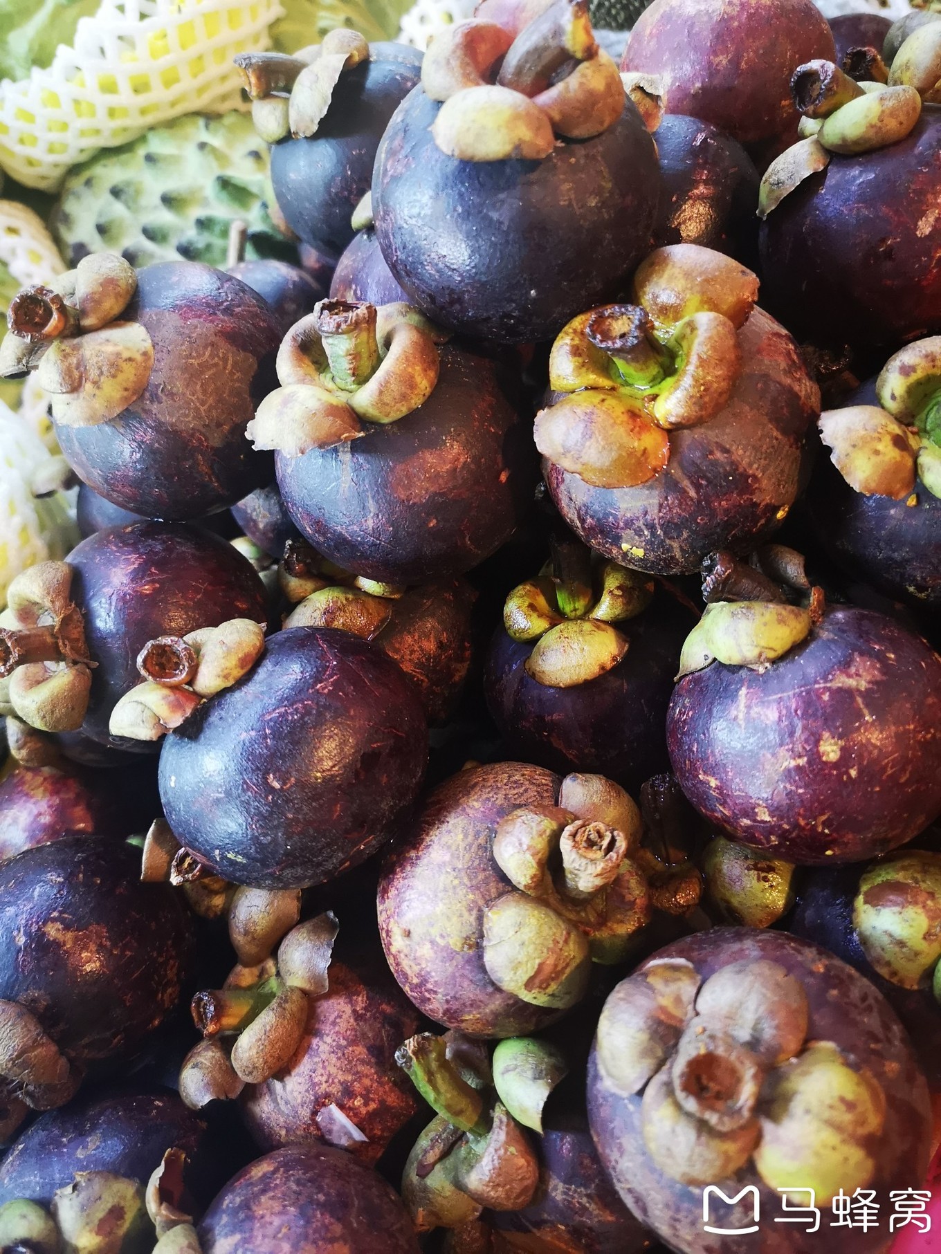 三亚夏天的海和冬天的海,三亚冬天如夏