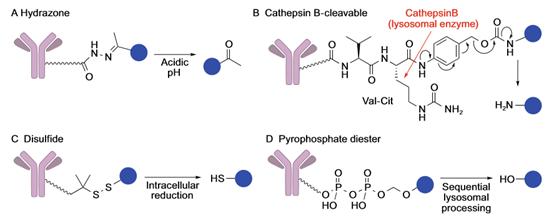 药渡,药渡数据研发流程
