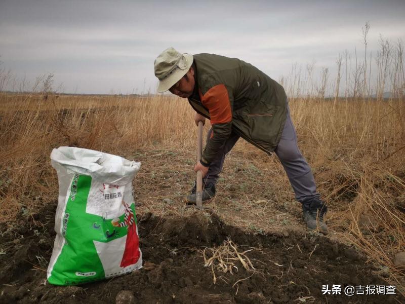 延边朝鲜族特色美食做法,朝鲜族美食手工
