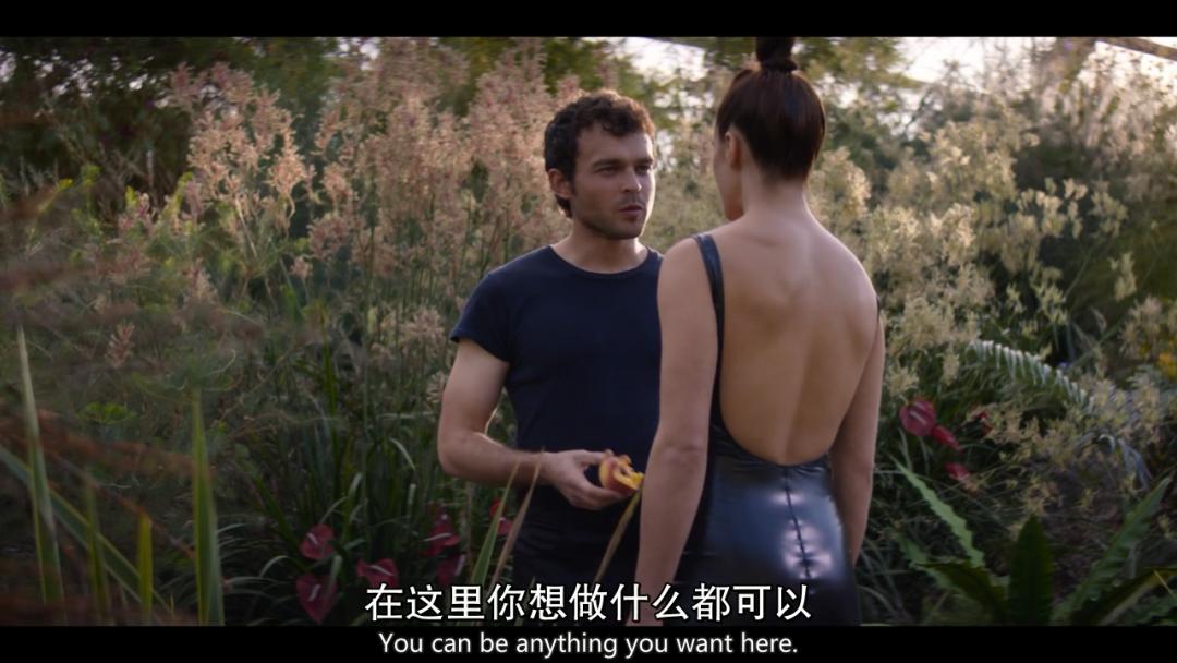 美丽新世界美剧解说,美剧美丽新世界全集免费看