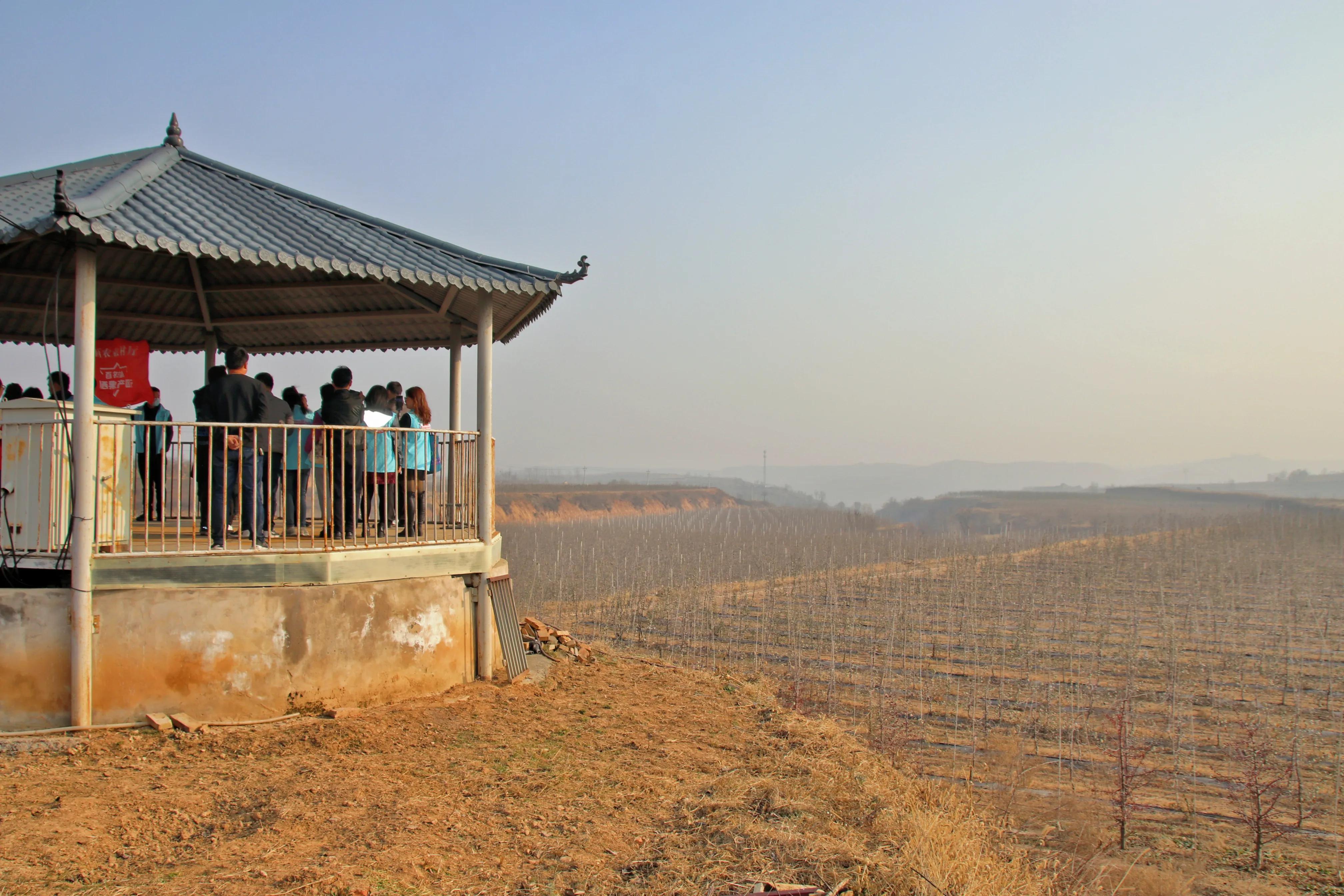 一品苹果·唯美印台，陕西果业产区行走进铜川印台区苹果优生区