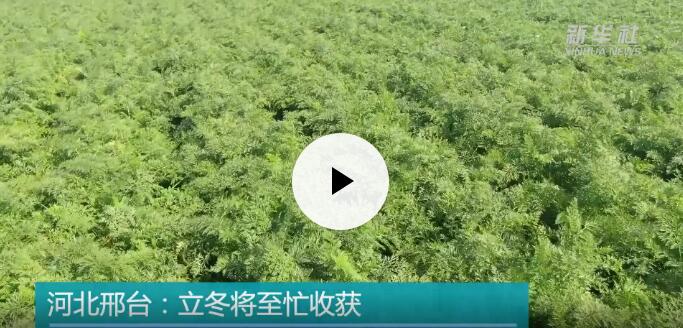 高端媒体看磁县,高端媒体看邢台新华社