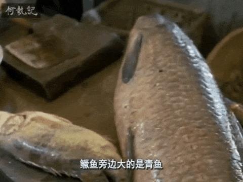 日本人35年前拍的中国美食纪录片,凭什么9.2高分?