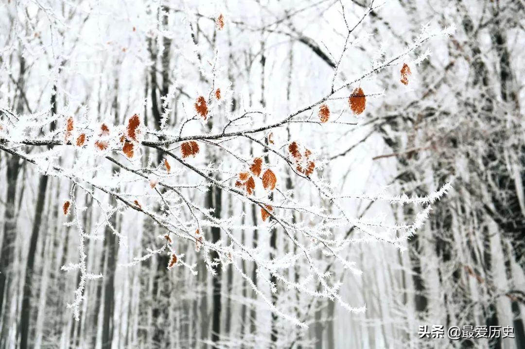 现当代古典情诗推荐,十首最美好的情诗古诗词