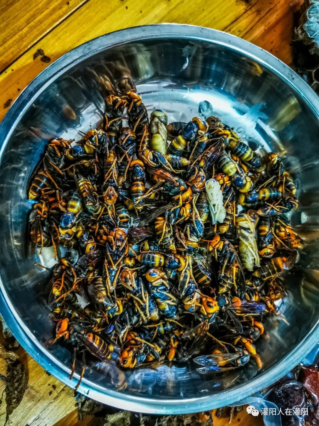 世上最美味的美食,世上的美食有千百种