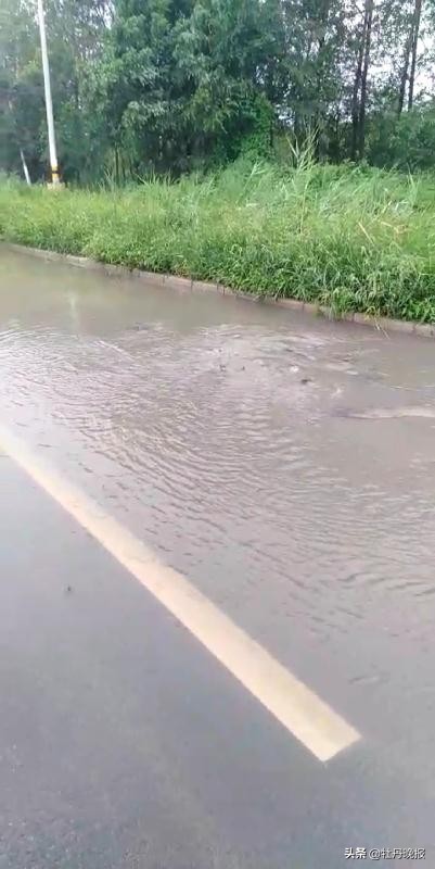 时而喷水、时而停止，菏泽城区这一“冒水点”影响市民出行