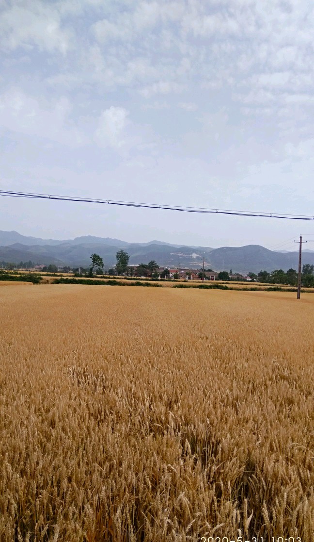 咸阳纳凉避暑好去处免费,西安咸阳避暑纳凉好去处