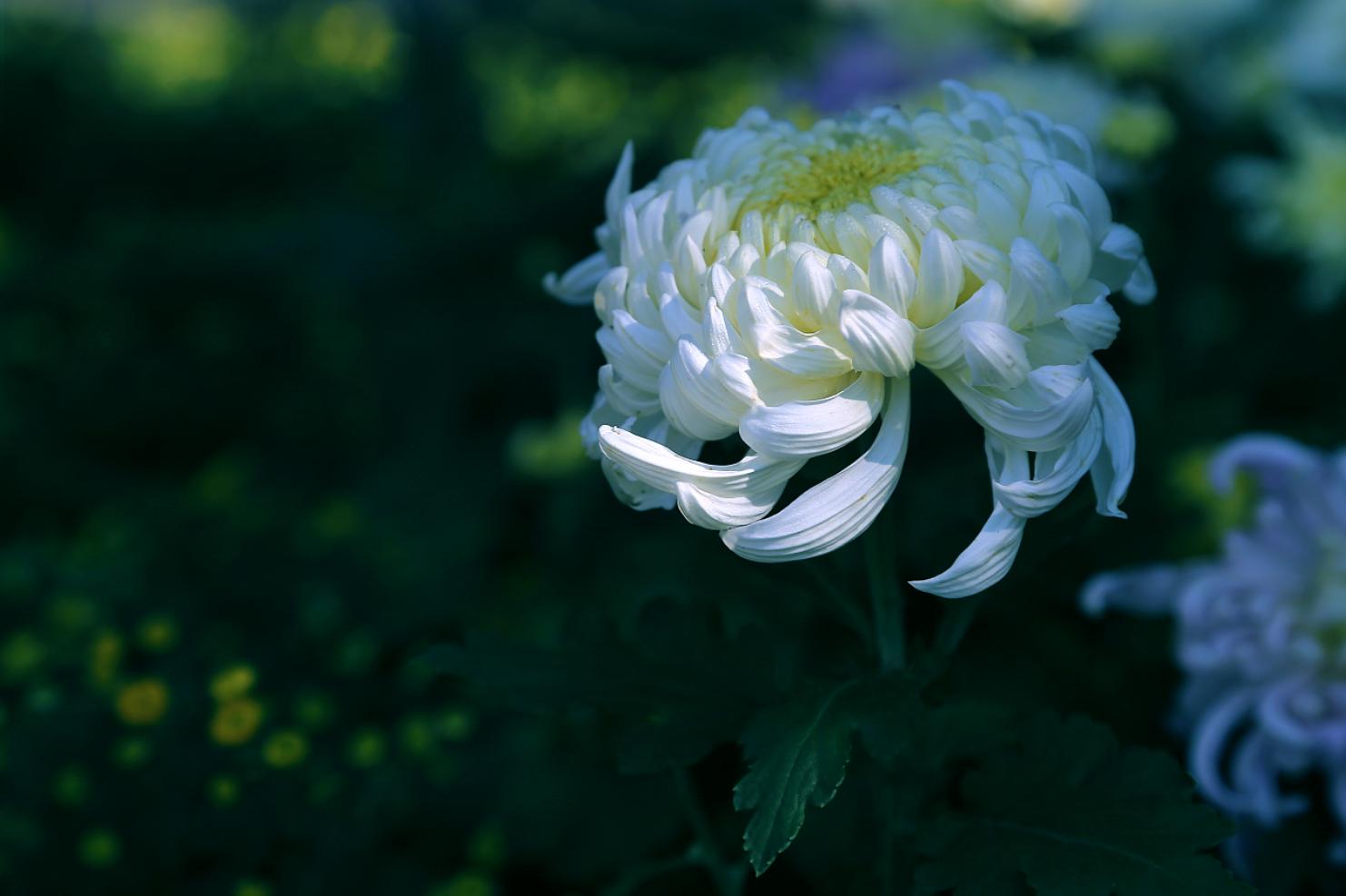 后期照片处理需要什么条件,后期如何把相片处理的清晰干净