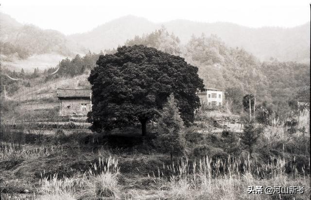 十堰古寨在哪里,十堰西沟景区介绍视频