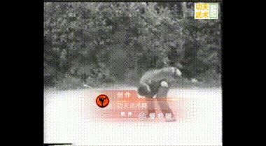 叶底偷桃vs海底捞月,黑龙十八手第四招叶底偷桃