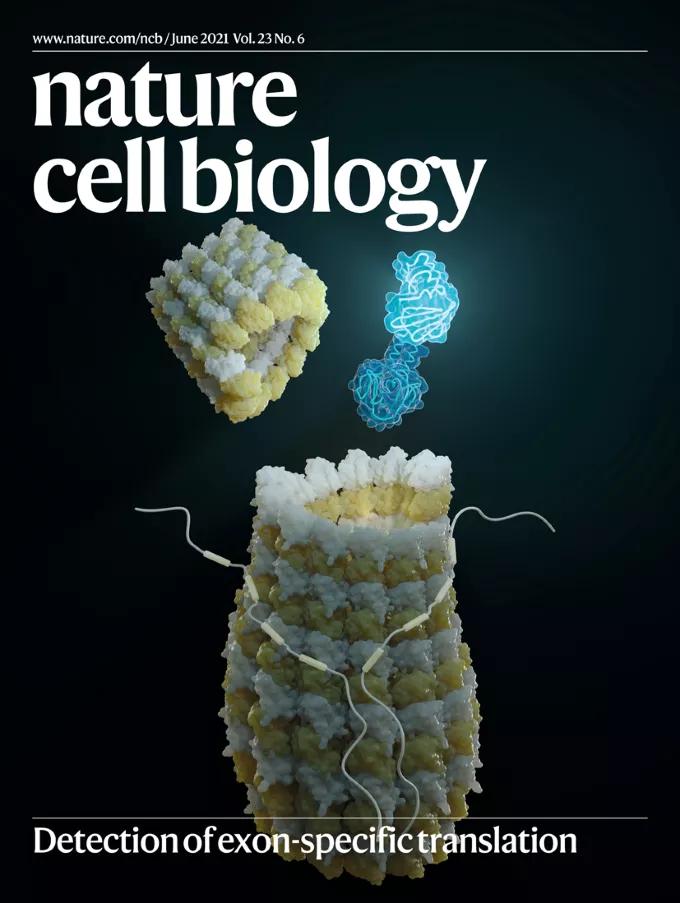 自然期刊封面,最新自然期刊