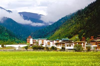 诗经知我者谓我心忧全文,诗经黍离之悲