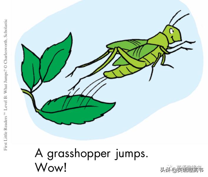 学乐小读者英语分级阅读怎么样,学乐小读者英语分级阅读166册