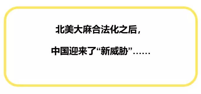 关于工业大麻合法化事件,美国工业大麻合法化对市场的影响