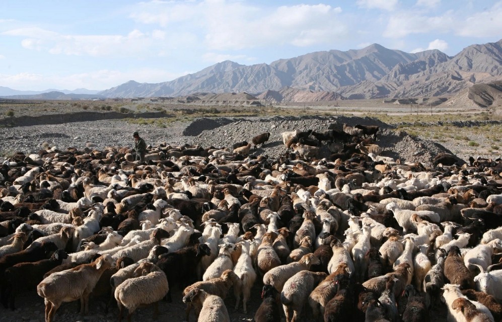 谁的家乡在中国最北边,中国最西边