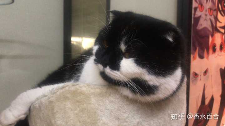 买了高层的人怎么样了,买了顶楼的房子后悔了吗