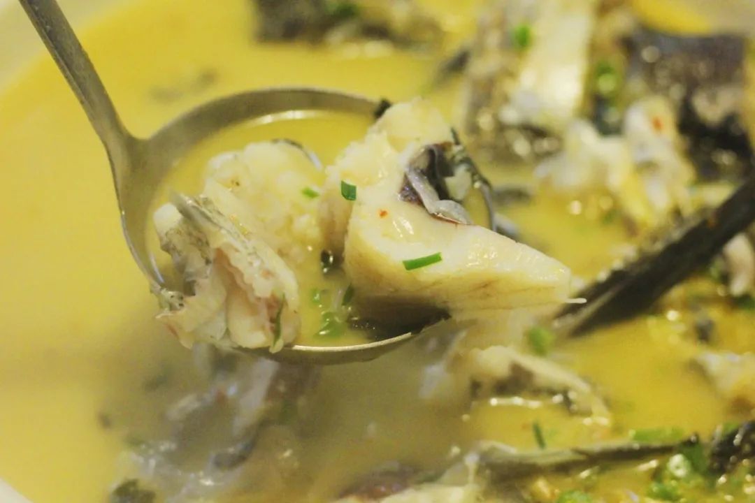 长沙生态农庄野炊采摘,长沙岳麓区垂钓农家乐