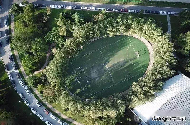 沈阳踢球的地方,沈阳踢足球场所