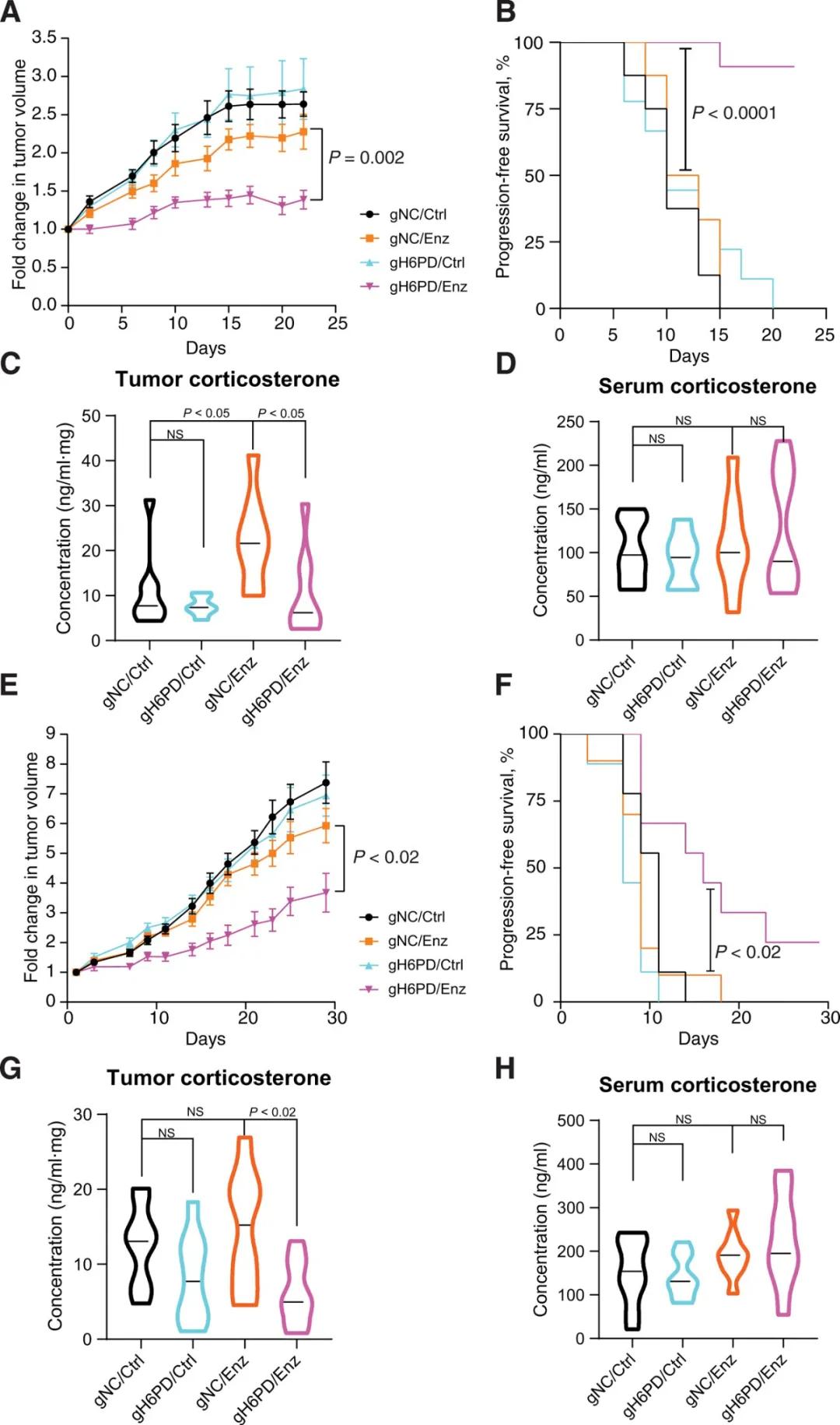 前列腺癌新疗法：恩扎卢胺“搭档”H6PD*制剂抑**，显著改善小鼠生存