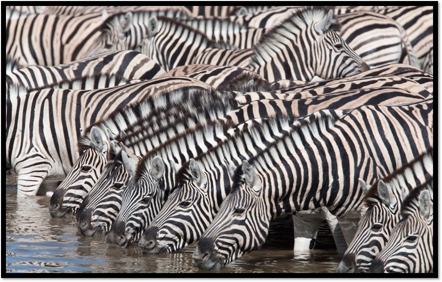 六一儿童节特别话题,六一儿童节问孩子有趣的问题