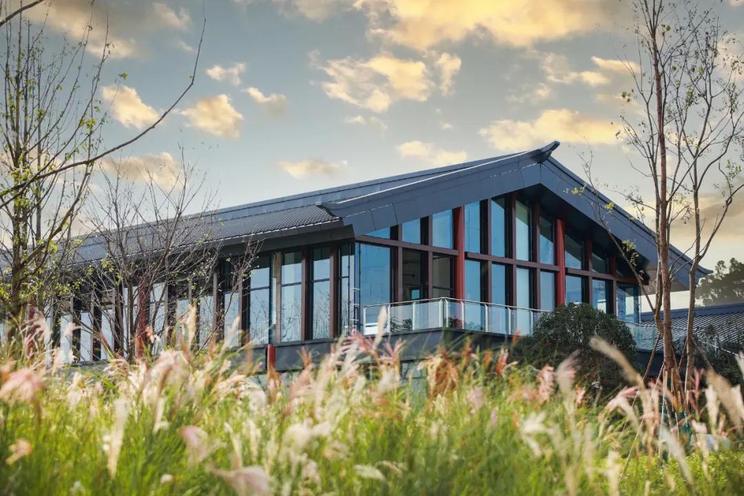 双流最好耍的湿地公园,成都双流打卡公园