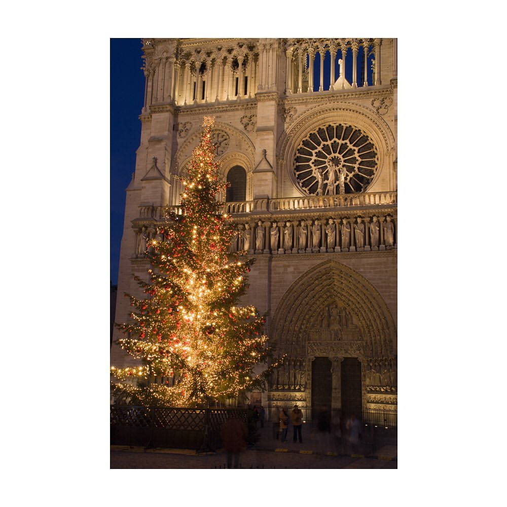 didierdubot是哪个国家的品牌,didierdubot在哪边买