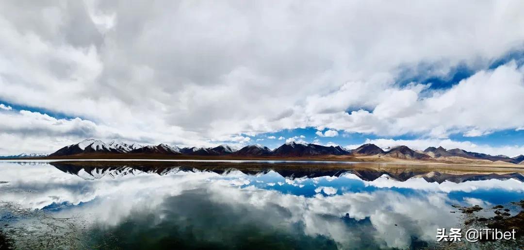 中国第一部羌塘无人区纪录片,史上第一部拍摄羌塘无人区纪录片