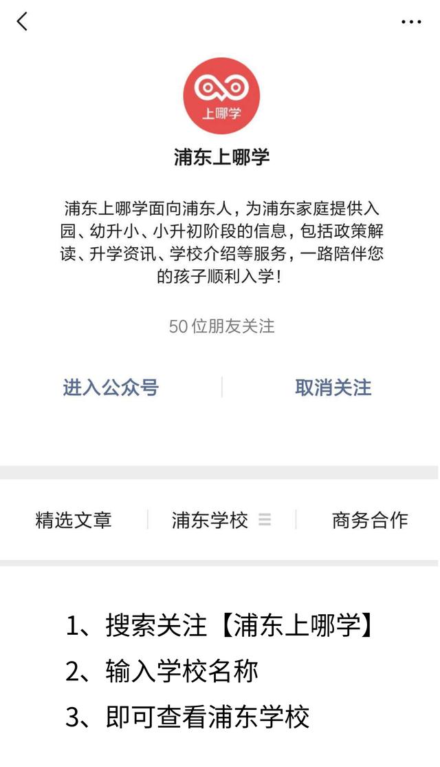 上海小学公办摇号浦东新区,浦东哪些小学值得摇号