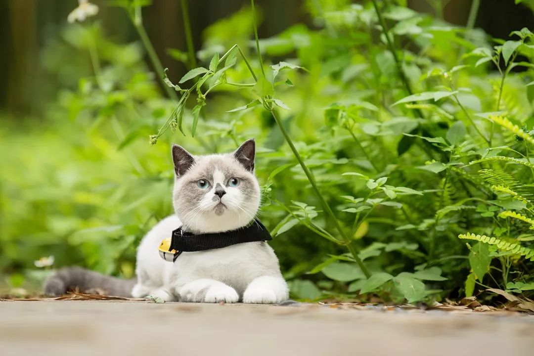 深圳富人日常生活真实记录,在深圳普通人最真实的生活状态