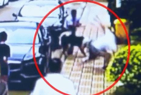 最新犬伤处置流程,关于犬伤处置