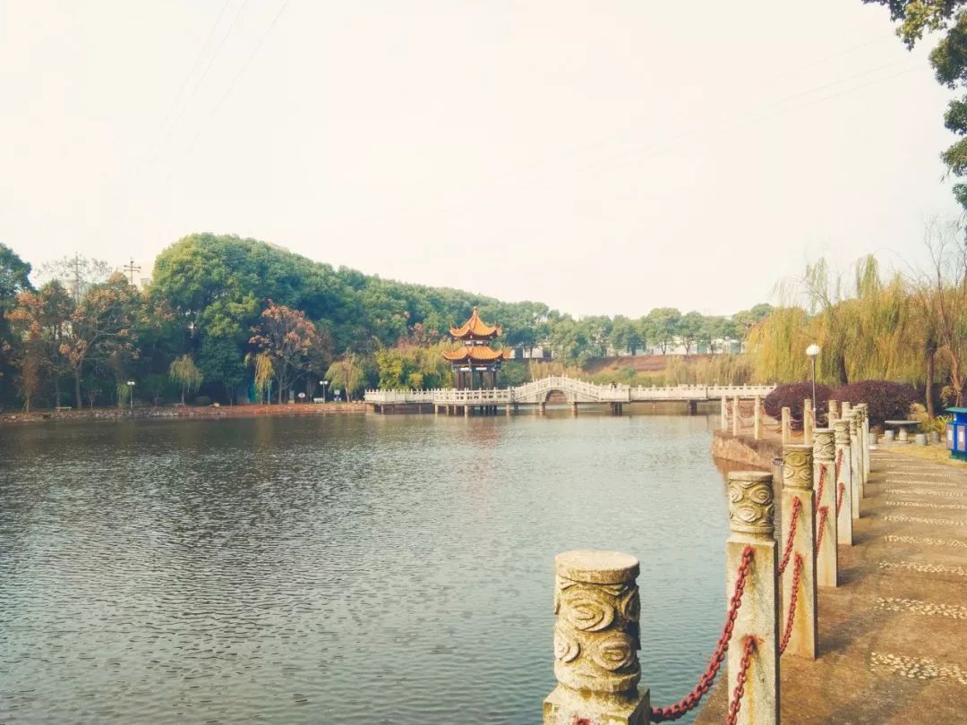 50句经典宋诗名句一定要读一次,带富字的七言宋诗名句