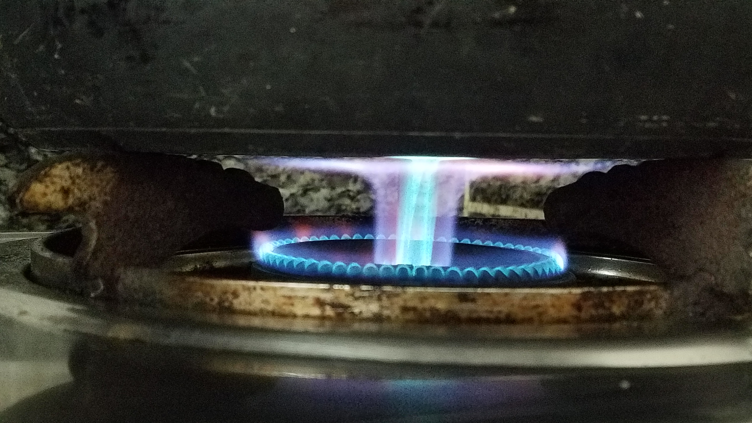 胡椒蒸鸡的做法家常菜,广东胡椒鸡正宗做法