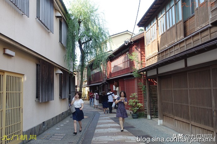 金泽区东茶屋街,金泽茶屋街简介