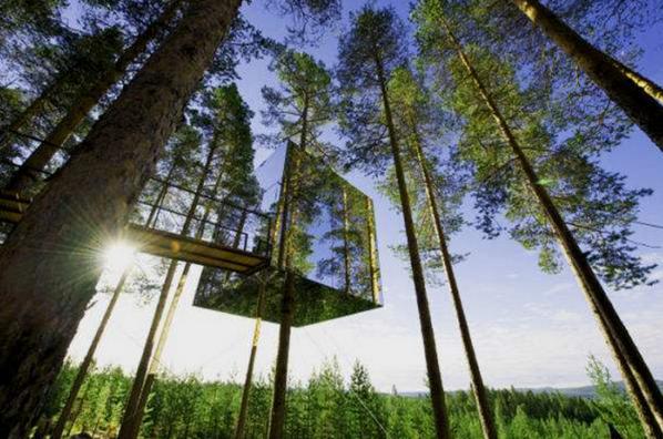 千年舟荣膺2021消费者信赖,千年舟是哪里的品牌