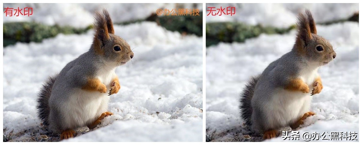不用ps软件如何去照片中的水印,不用ps去文字水印高级方法