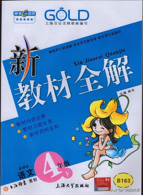 语文刷题必备教辅,超好用的语文教辅亲测推荐