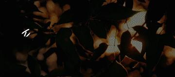 快上车|学校亏欠我们的生理课,这部英剧补齐了