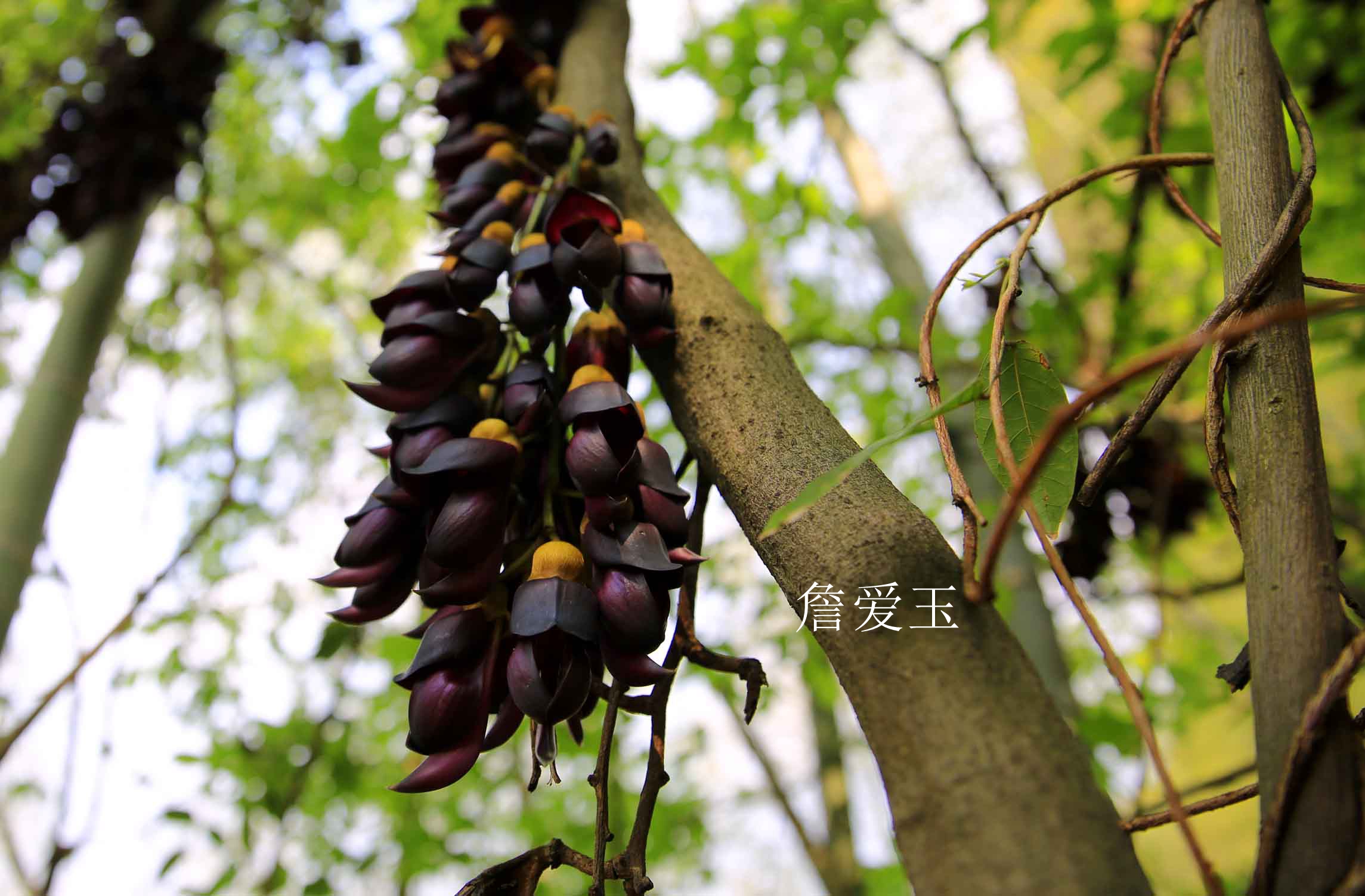 广丰周边一日游旅游景点推荐,广丰五一旅游攻略