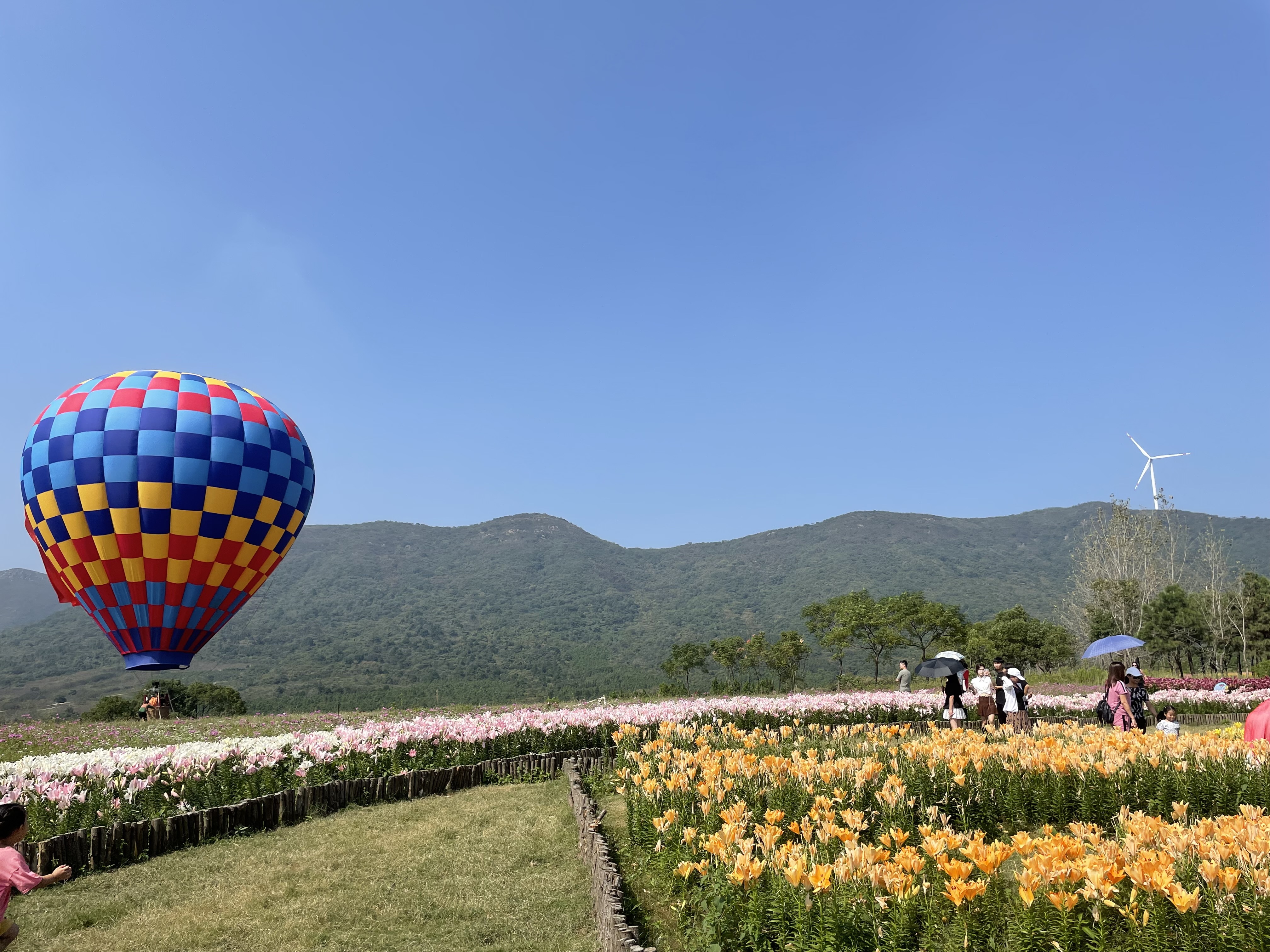 合肥四季花海公园属于几a级景区,合肥滨湖四季花海怎么坐车去