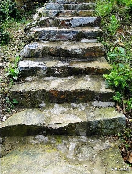 你可能从没意识到，原来这些东西也是*物文**