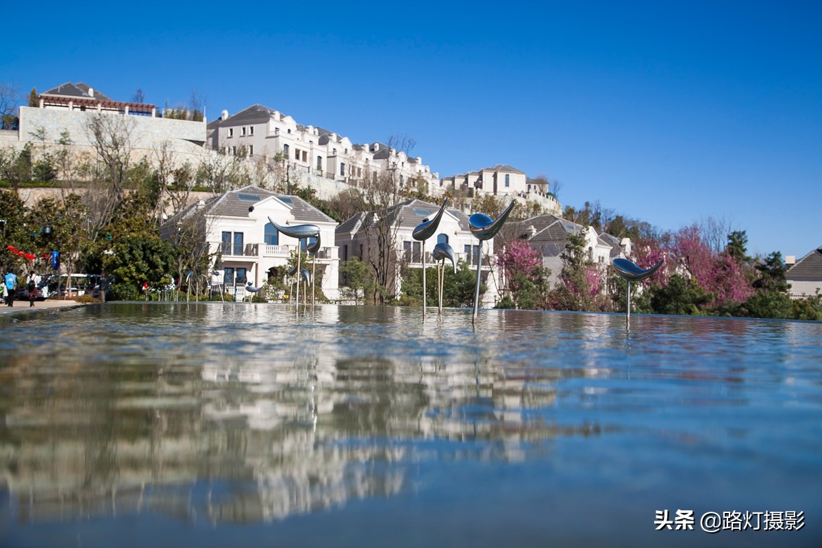 世界春城排行榜云南独占6城,云南世界第一春城