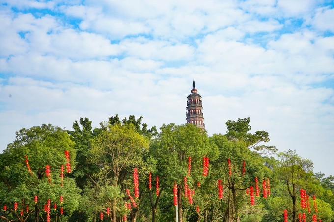广东顺德美食旅游攻略学生,顺德自驾这份美食攻略要收好