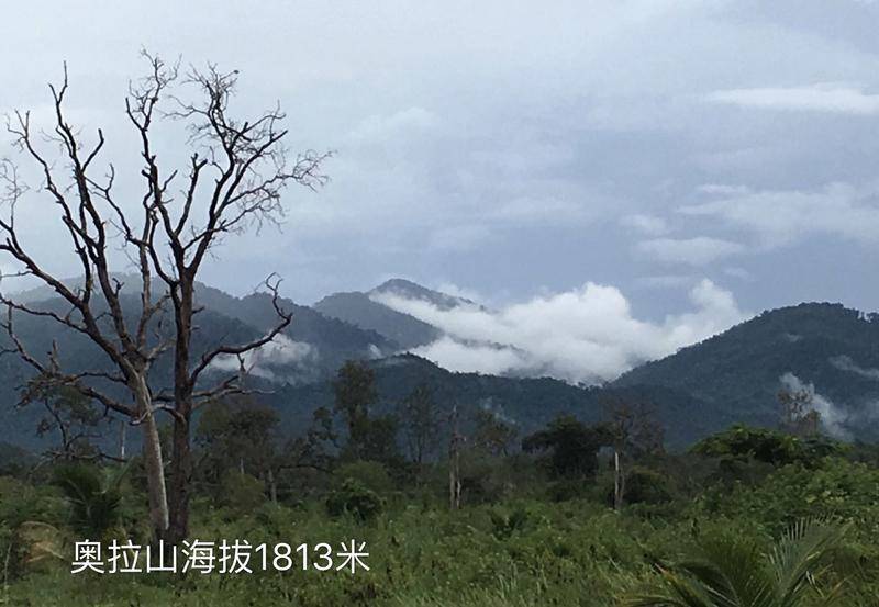 马航mh370柬埔寨找到了吗,马航mh370柬埔寨具体地点