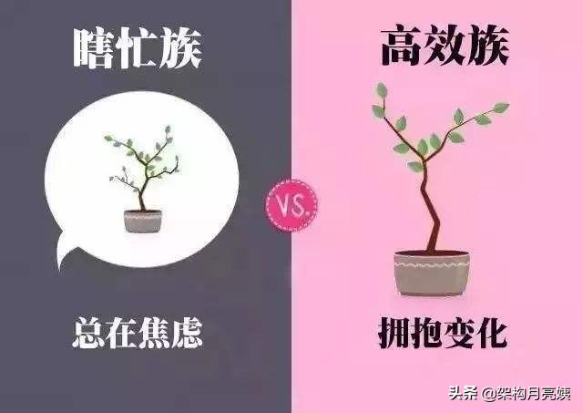 从国企到互联网，程序员六年四段经历，一份被很多HR刷掉的简历