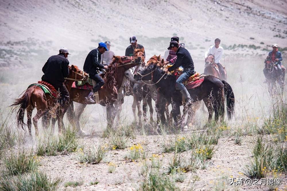 铁血雄鹰全剧,铁血雄鹰全文阅读