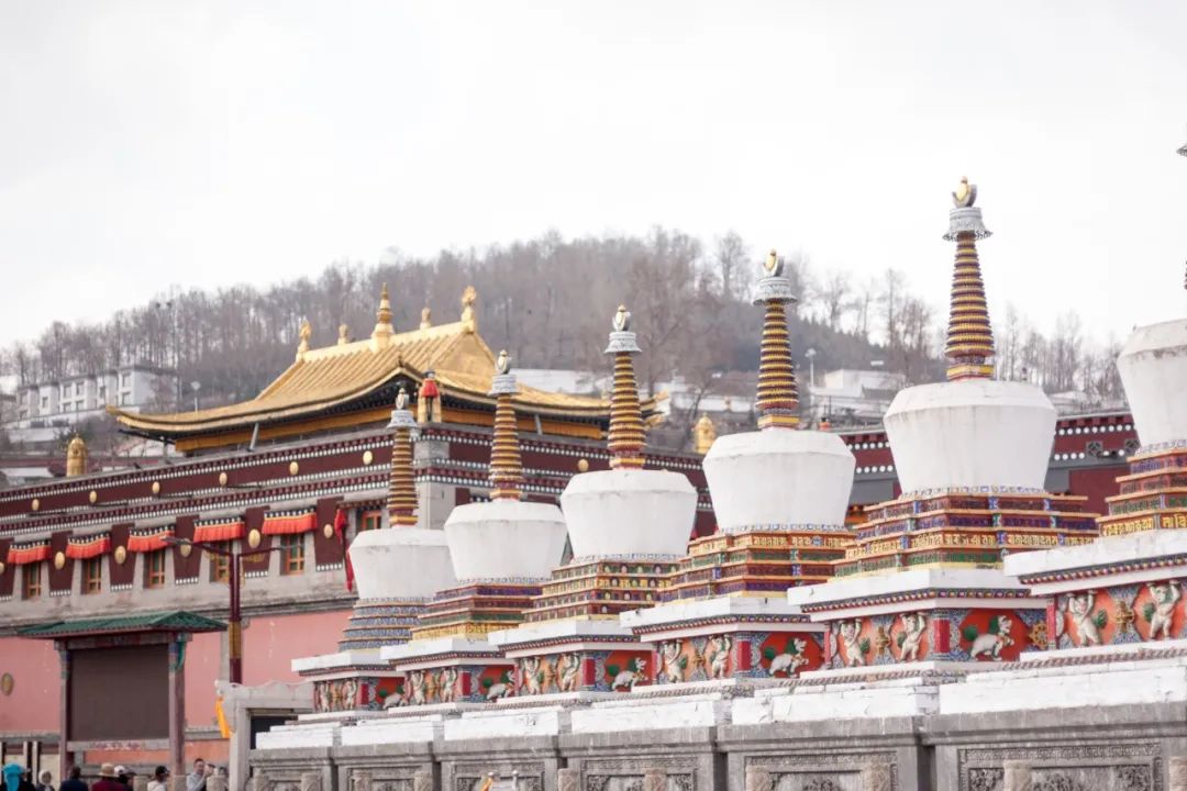 下一个早秋爆款目的地！还能这样玩儿？有你想不到的美好