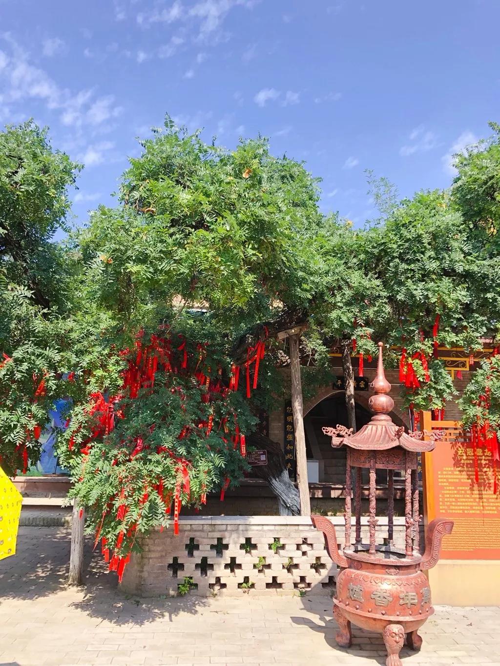 西安秦岭温泉度假山庄,西安桃花源休闲山庄