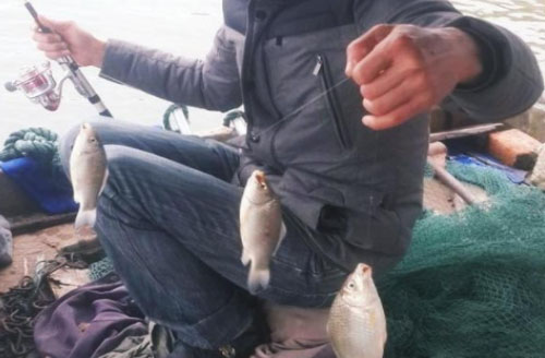 鲫鱼夏季串钩,冬天串钩鲫鱼最适合的钩型