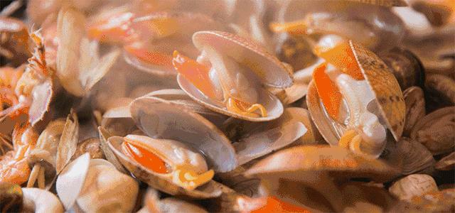 被浙江私藏的小城有多美,宁波最隐藏的海岛