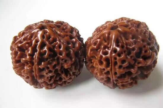 金刚落地红值得盘玩吗,真正的落地红图片